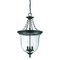 Homeroots 25.38 x 14.25 x 14.25 in. Belle 3-Light Matte black Hanging Light 398030 - alternate 3